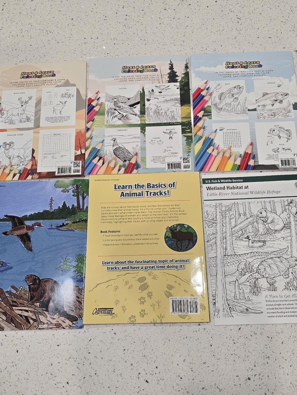Hunt & Learn Coloring Book Collection - Picture 2 of 8